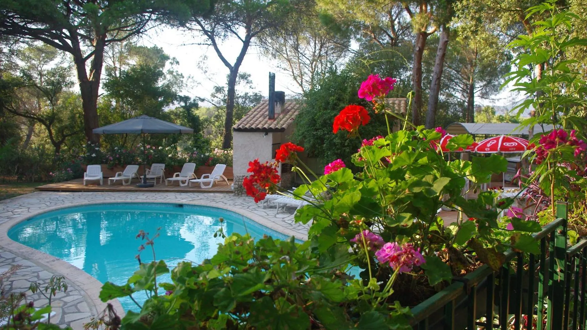 Location Villa Et Studios Roquebrune-sur Argens Semesterbostad